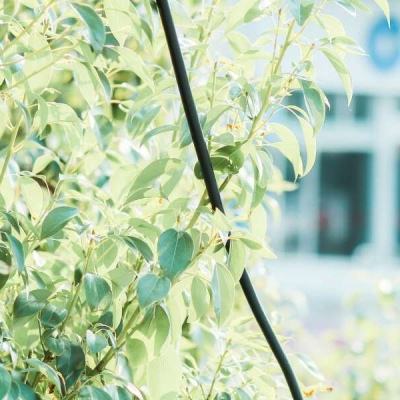 永乐国际下载手机版